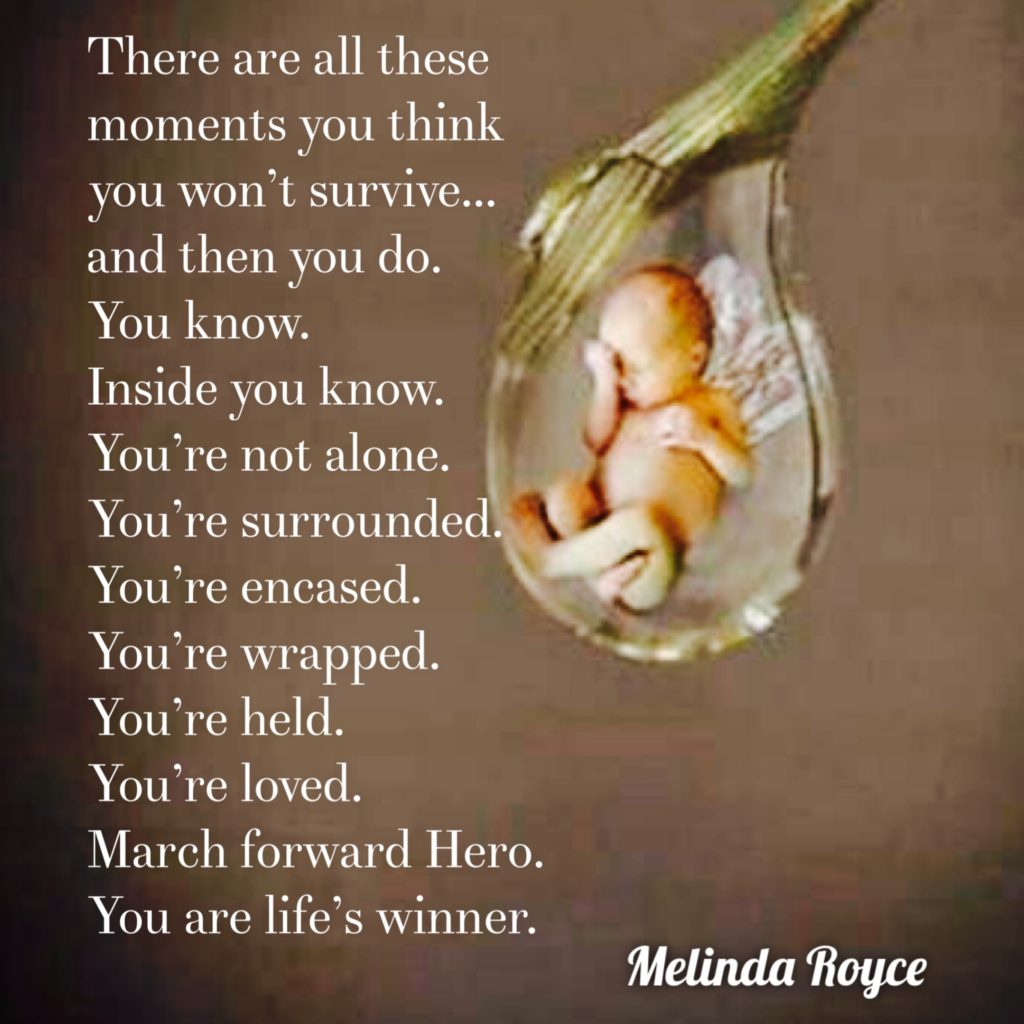 Post by Melinda Royce