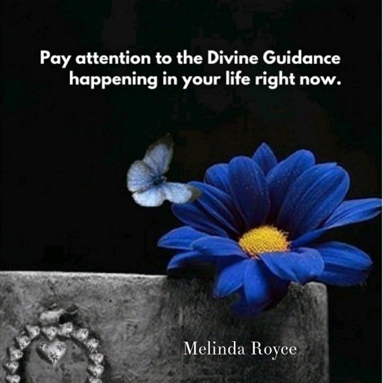 Everything is Divine Guidance.